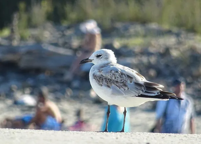 Aivazovsky Park Anchialos H14 Apartman