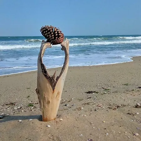 Aivazovsky Park Anchialos H14 Поморие