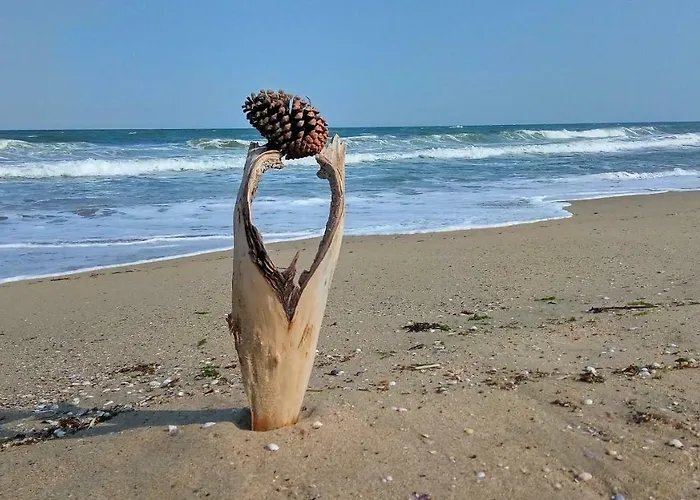 Aivazovsky Park Anchialos H14 Pomorie